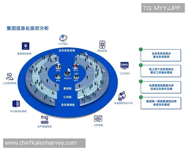 6686体育低代码平台助力企业数字化转型提升效率与创新能力